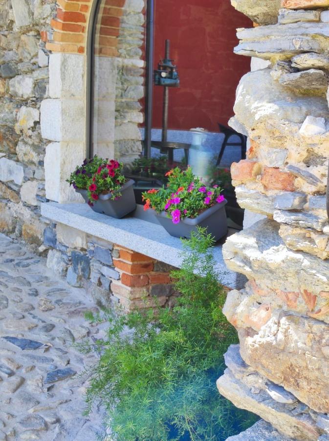Agriturismo Il Medeghino Musso Exterior foto
